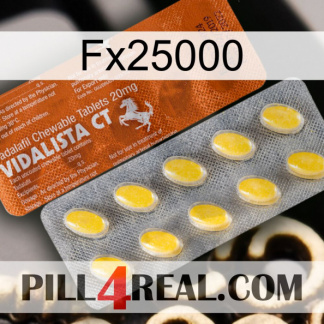 Fx25000 42